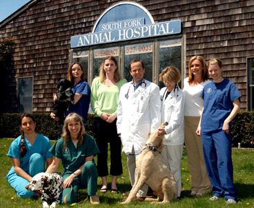 southfork veterinary