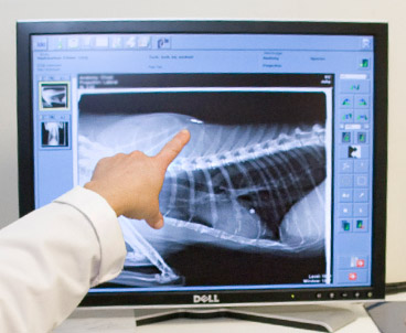 Digital Radiology