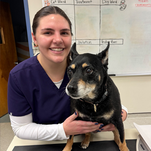 South Fork Animal Hospital Staff