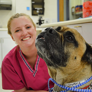 South Fork Animal Hospital Staff